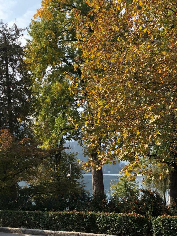 Kolman Bled